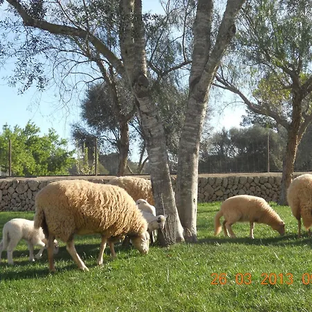 Vacacional En Mallorca Cas Contador Casa rural Algaida (Mallorca)
